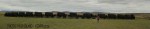 Blood River - Wagons in laager - Bronzes -  (5)