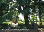Baynesfield Mausoleum (2)