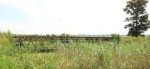 Baynesfield - Rail Bridge (2)