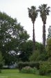 baynesfield-gardens-2