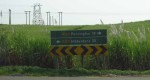 Bazely Beach - Access Road - P254-2 off from R102  - Roadsign (2)