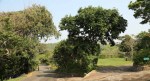 Ifafa - MacNicols Resort - Camp Sites (4)