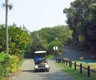 Ifafa - MacNicols Resort - Gardens (3)