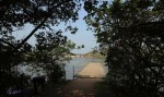 Ifafa - MacNicols Resort - Jetty (2)
