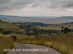 The Outspan - below Oliviershoek Pass (2)
