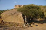 bambatha-rock-memorial-s-28-54-864-e30-33-503-elev-891m-2