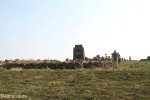 mt-itala-battlefield-summit-monument-s-28-31-149-e-31-02-140-elev-1472m-6