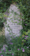 Boston Trinity Farm - Church and Graves - John William Alborough - 1905