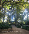 Bothas-Hill-Eagle-Wind-Manor-driveway