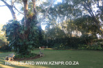 Bothas-Hill-Eagle-Wind-Manor-gardens