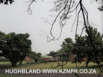 Hillcrest-Hospital-road-5