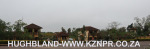Hillcrest-Hospital-road-Plantations-2