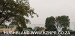 Hillcrest-Primary-2