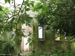 bothas-hill-railway-station-derelict-rail-house-r103-s-29-45-15-e-30-44-40-elev-741m-66