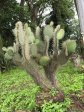 bothas-hill-railway-station-gardens-r103-s-29-45-15-e-30-44-40-elev-741m-39