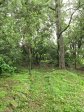bothas-hill-railway-station-gardens-r103-s-29-45-15-e-30-44-40-elev-741m-42