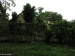 bothas-hill-railway-station-gardens-r103-s-29-45-15-e-30-44-40-elev-741m-44