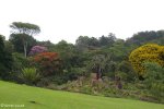 macaranga-spa-_-ingwababa-road-s-29-47-32-e-30-49-1