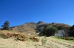 bulwer-mountain