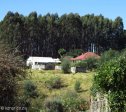 bulwer-residences-6