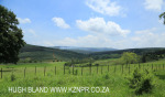Blarney Cottage - views to the west (2)