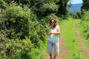 BYRNE VALLEY - Forest Cliff