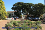 Durban-Berea-Musgrave-Road-The-Caister-entrance-drive4