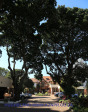 Durban-Berea-Musgrave-Road-The-Caister-entrance-drive40