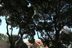 Caister Lodge - Durban Berea - 801