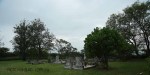camperdown - Church of thr Resurrection - Graveyard overview (1)