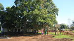 Carlyle-college-grounds-2