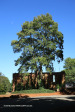 Gateway-dedicated-to-mary-carlyle-mitchell-10