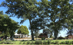 carlisle-college-classrooms-1