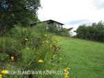 Caversham - Midlands Forest Lodge gardens (1)