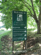 Caversham - Midlands Forest Lodge gardens (2)
