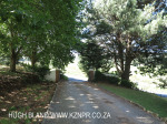 Caversham - Midlands Forest Lodge gardens (3)