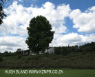 Caversham - Midlands Forest Lodge - the lodge  (2)