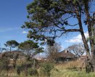 cedarville-old-house