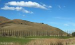 cedarville-road-from-kokstad-6