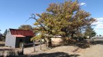 cedarville-tin-church-s-30-23-09-e-29-02-06-elev-1471m-2
