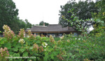 Champagne-Sports-Original-home-Wilson-family26-1