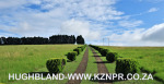 Gracelands-View-towards-Champane-Castle-11