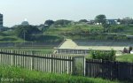 chatsworth-arena-park-stadium-camillus-avenue-s29-54-39-e-30-52-2