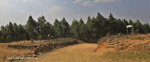 Citeaux Mission - entrance road