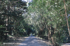 Durban - Coedmore - Mary Stainbank Memorial Gallery - 834