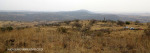 Colenso - Inniskilling Hill - the plateau half way up Harts. (2)