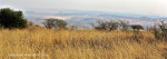 Colenso - Inniskilling Hill - view towards Colenso cooling towers (.1) (1)