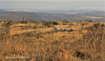 Colenso - Inniskilling Hill - view towards Colenso cooling towers (.1) (2)
