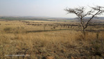 Colenso heights overlooking Tugela & Colenso (1)