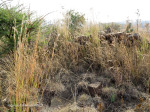 Colenso heights overlooking Tugela & Colenso (3)
